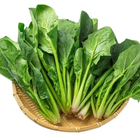 Hot Selling Seasonal vegetables  Frozen IQF Spinach Leaves