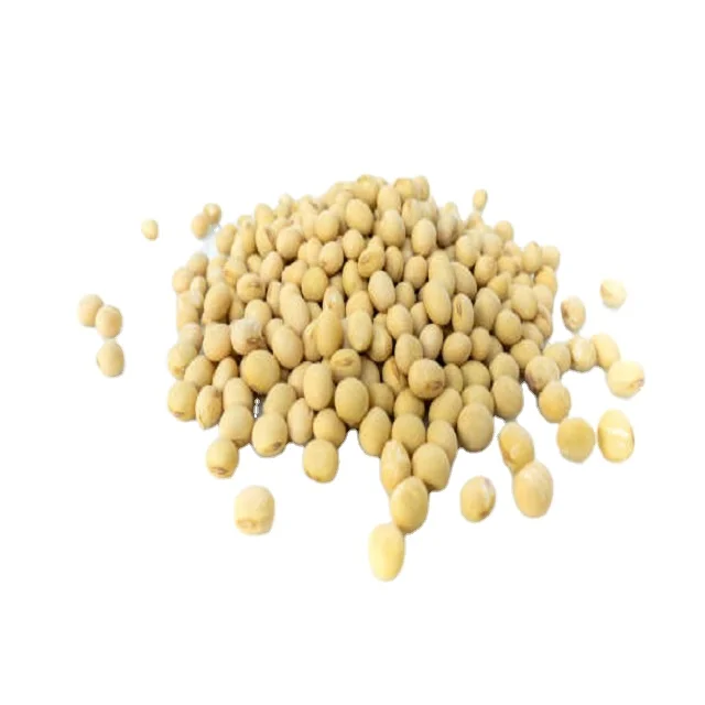 NON-GMO Soya Beans for Sale Yellow Soybeans - Soybeans for the best market rates Cheap price