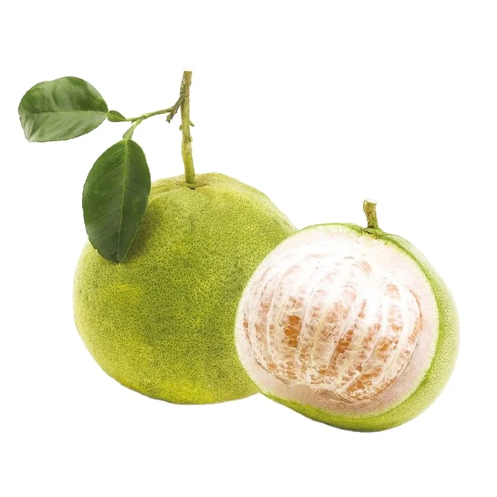 Frozen Delicious Juicy Fruit Pomelo Grapefruit Reasonable Price Frozen Fruit Nam Roi Pomelo Vietnam Wholesale Export