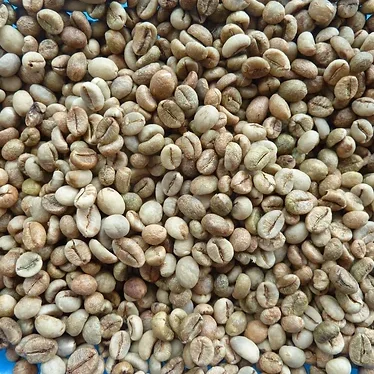 Ready to Ship 100% Top Quality Robusta grade 2 screen 13 - Raw Coffee Beans from Viet Nam Robusta Coffee Bean Exporter