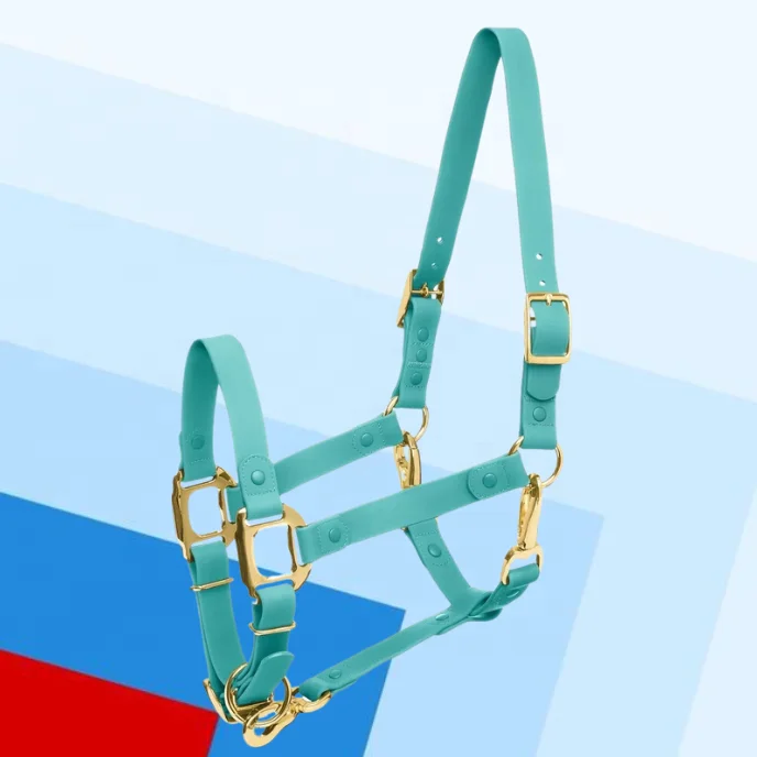 Mint Green ESE Original Adj Horse India Kanpur Halter