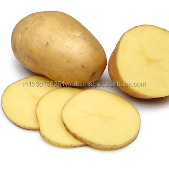 Hot sell for the 100g and up fresh new crop potato from the factory price