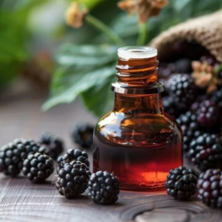 Best Selling Pure Essential Black Seed Oil Quality Natural Cosmetic Extract for Hair Growth Moisturizing Wholesale Price