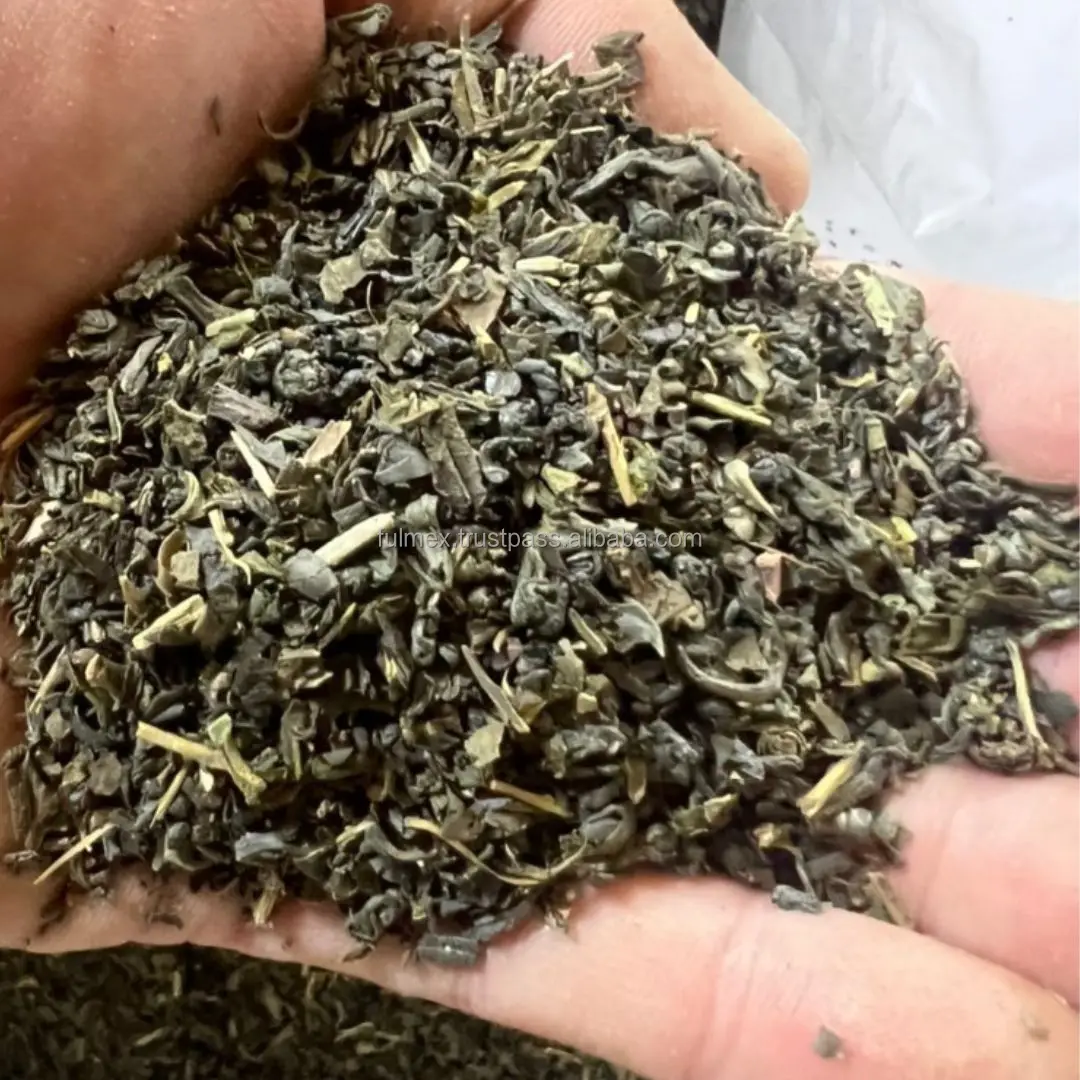 Green tea Vietnam broken leaf heavy tea high quality for using daily hot selling Afghanistan market