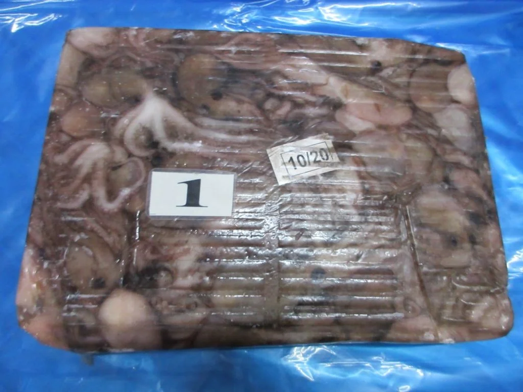 FROZEN OCTOPUS WHOLE FROM INDIA