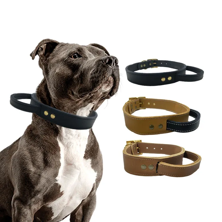 Quick Release Buckle Genuine Leather Tibetan Mastiff Dog Weighted Strong Handle Pet Collar