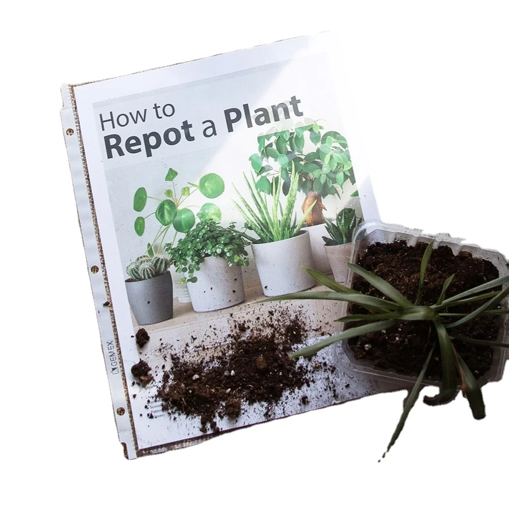 Highest Selling Stationery and Office Use Best Quality Waterproof Acid Free Non Glare Letter Size Sheet Protector at Low Price