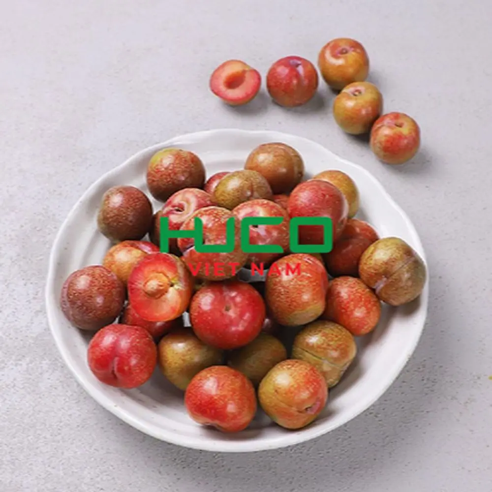 High quality Vietnam Variety Fresh Plum fruits