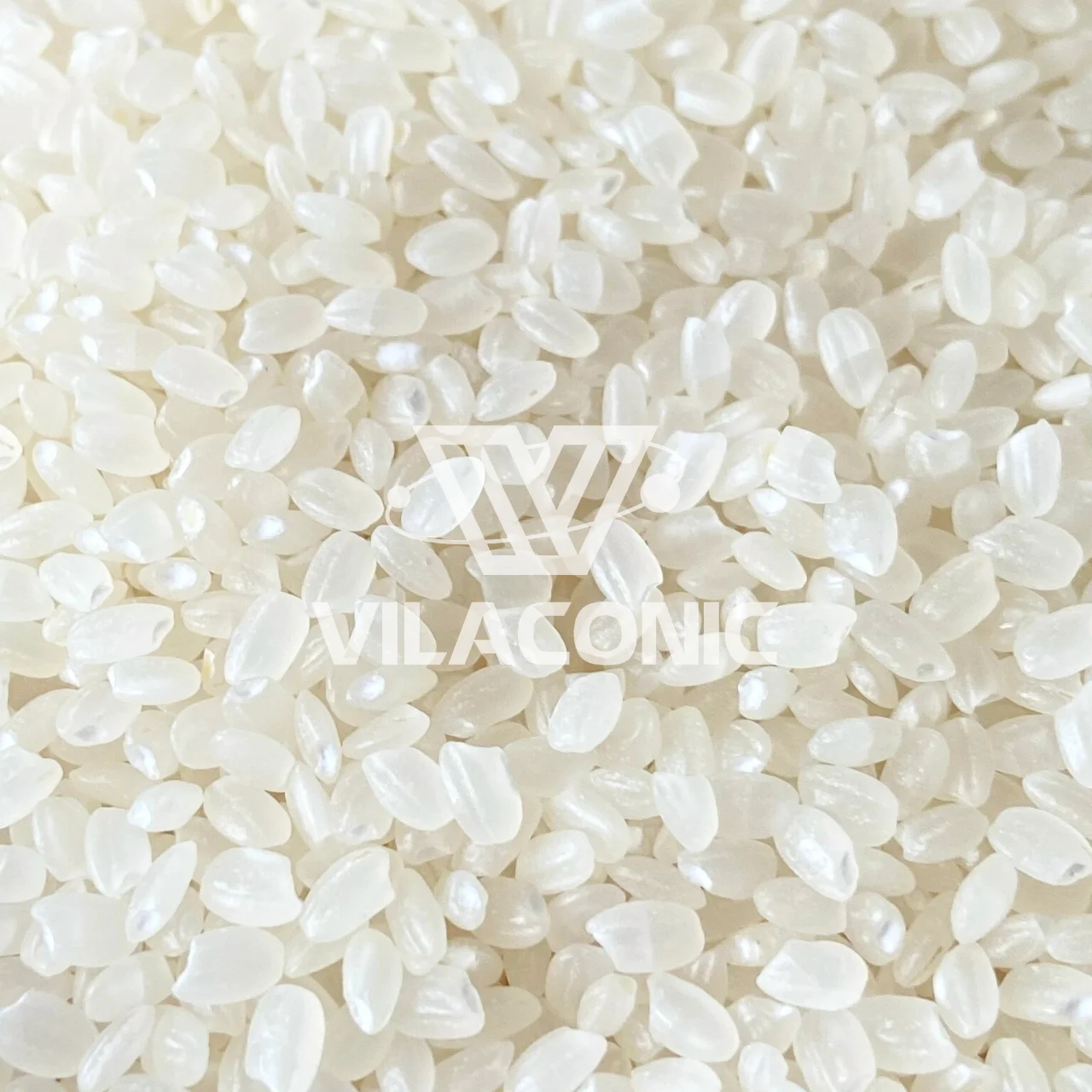 Vietnam Japonica round Rice Best Price Sushi Japanese Ms. Emily +84964660879