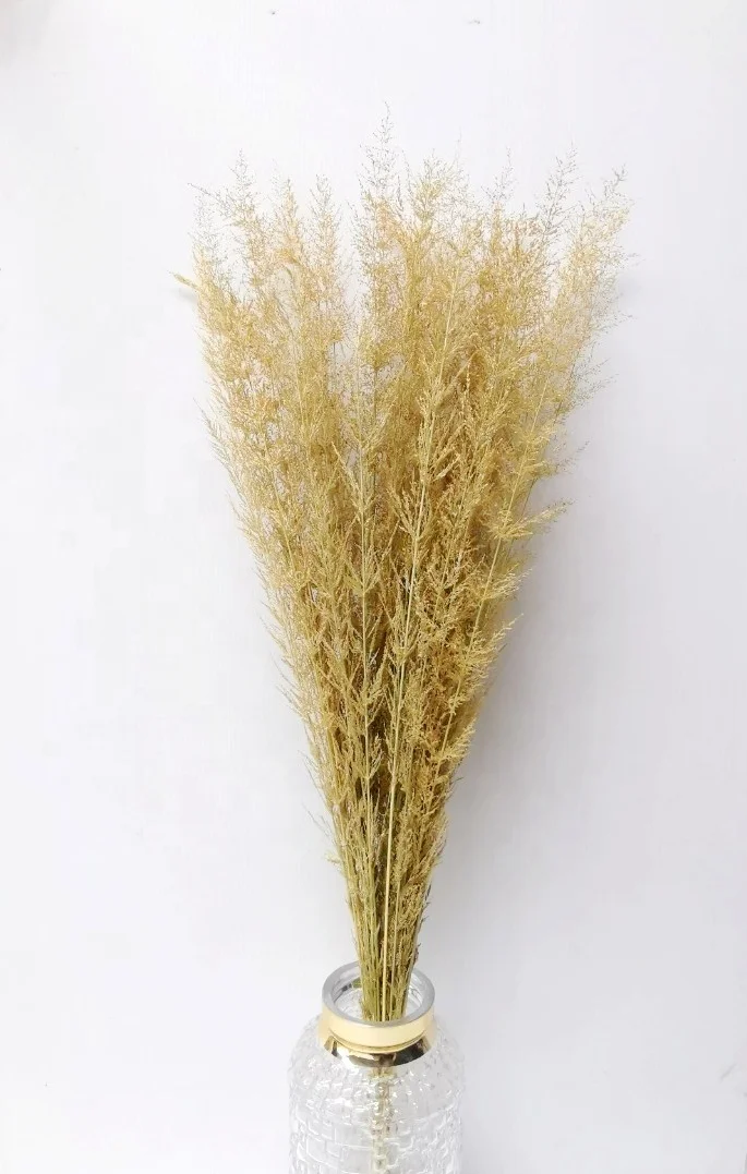Wholesale Dried Flowers Natural Dried Vintage Grass for Wedding Decoration