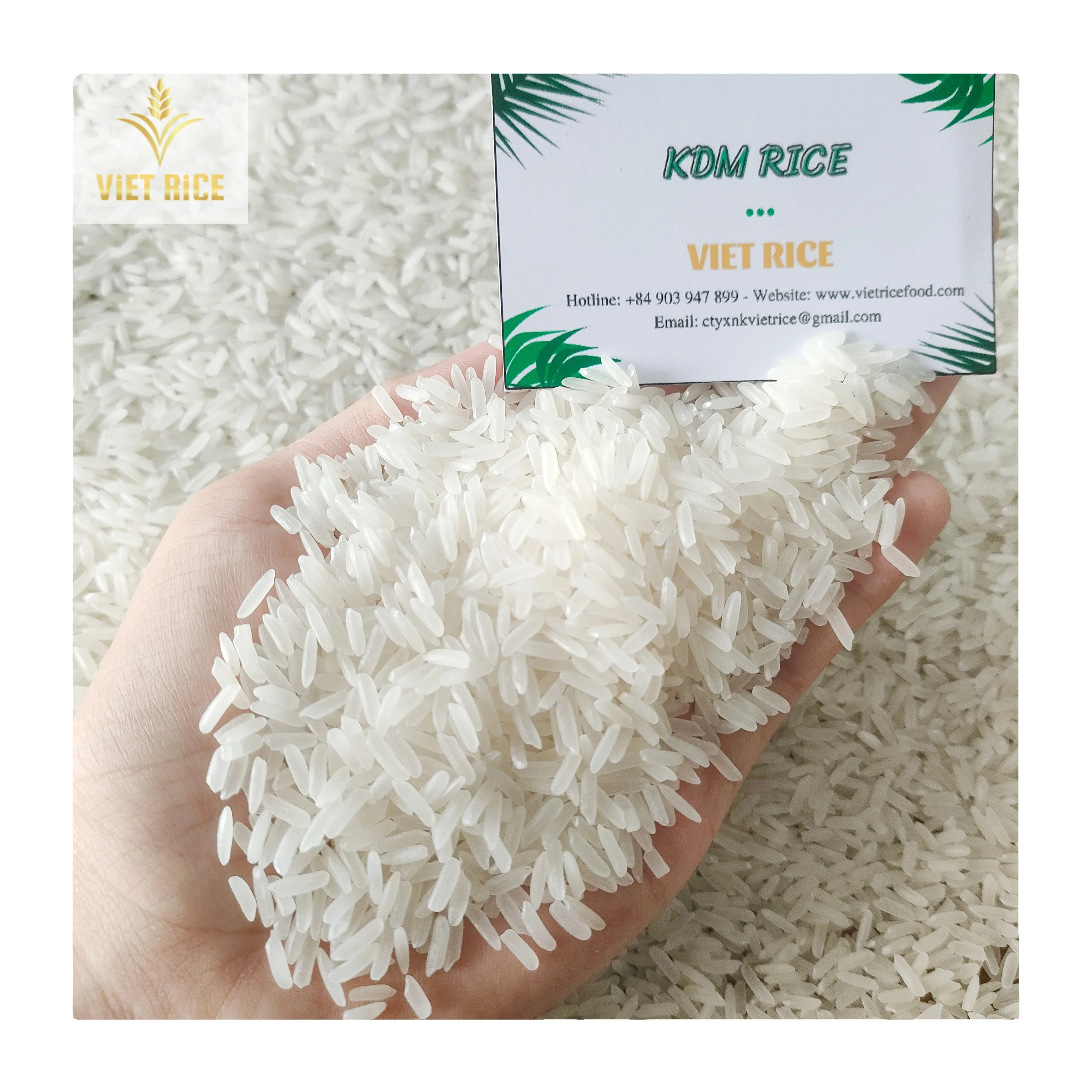 KDM Rice 5% broken Fragrant and Sticky  from VIETRICE - an import and export manufacturer with the best quality, large quantity