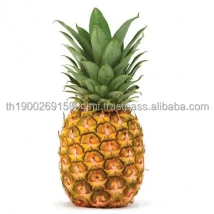 pineapple-_whole.jpg