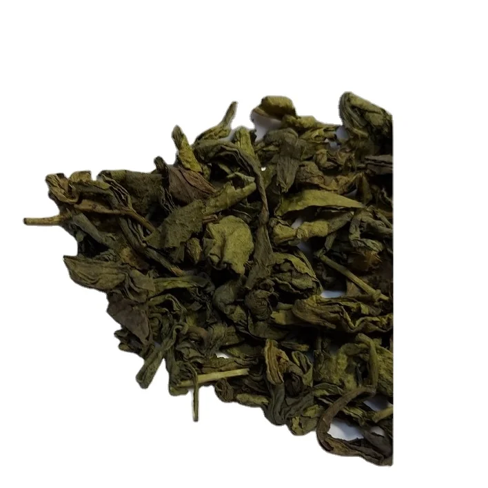 Organic Tea Wholesale OPA GREEN TEA Best sellers Vietnam Tea leaves Raw materials