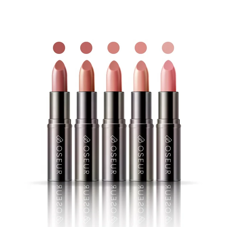 OEM Private Label Multicolor High Quality Lipstick Nude Matte Makeup Lipstick