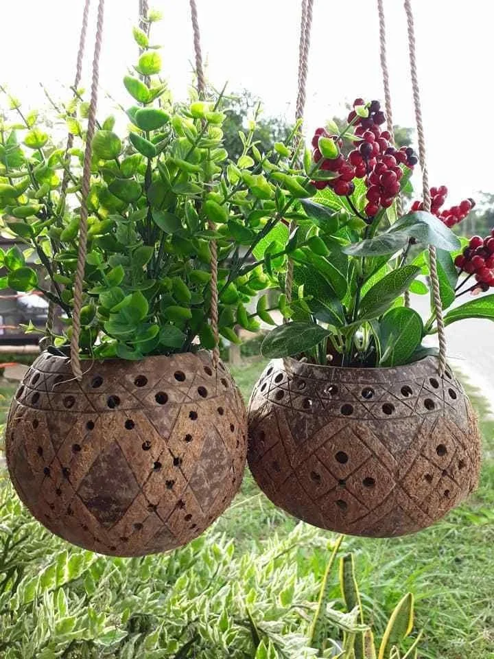 FREE LOGO FOR COCONUT SHELL FLOWER POT/ COCONUT SHELL POT FOR FLOWER PLANTING OR GARDENING FROM VIET NAM
