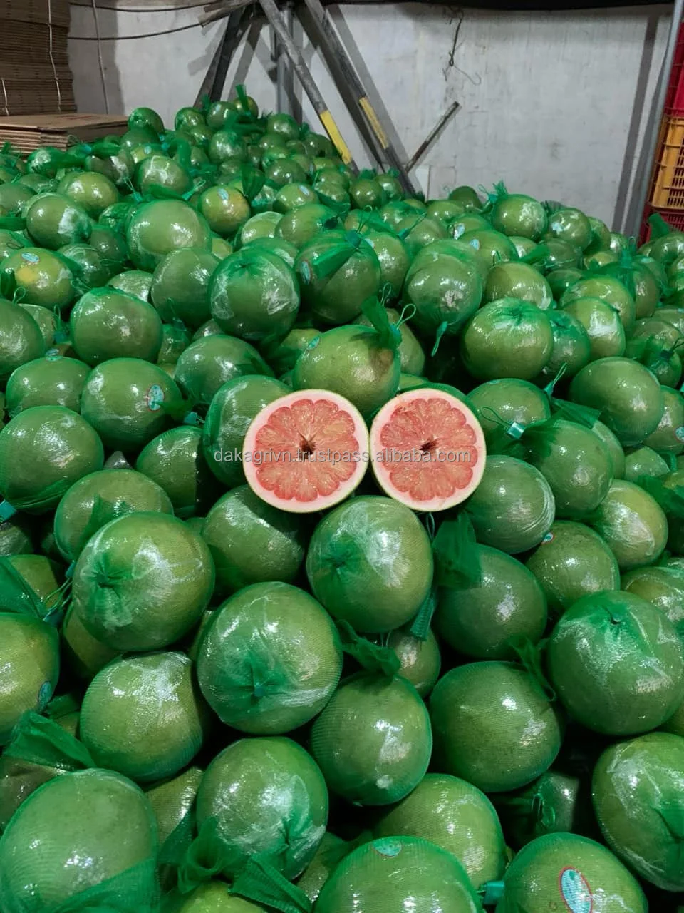 Vietnam Food Common Agriculture 100% Fresh Pomelo Fruit Sour Sweet Cool Storage Agriculture Green Pomelo