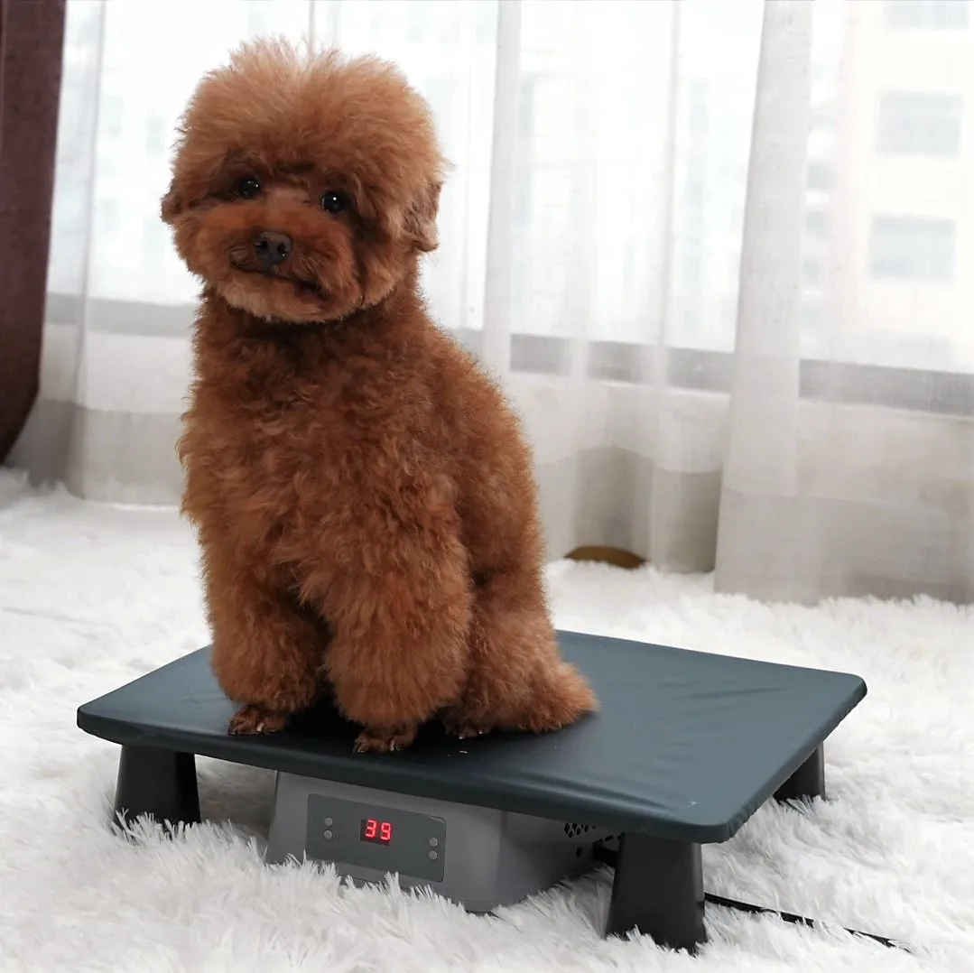 cooler warmer folder able pet house pet bed  for cat and dog bed easy to clean
