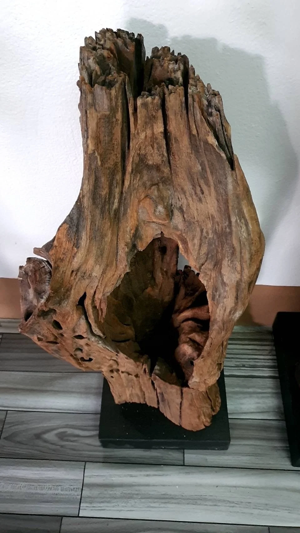 Natural wood on stand