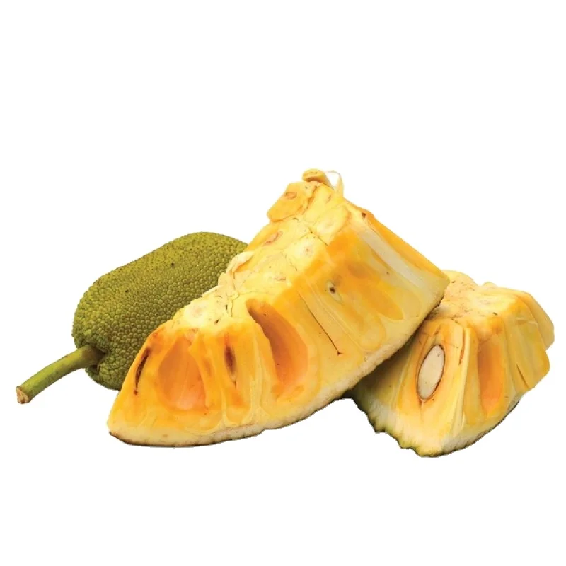 
Vietnam Fresh Jackfruit No chemichals (WS: +84904230236) 