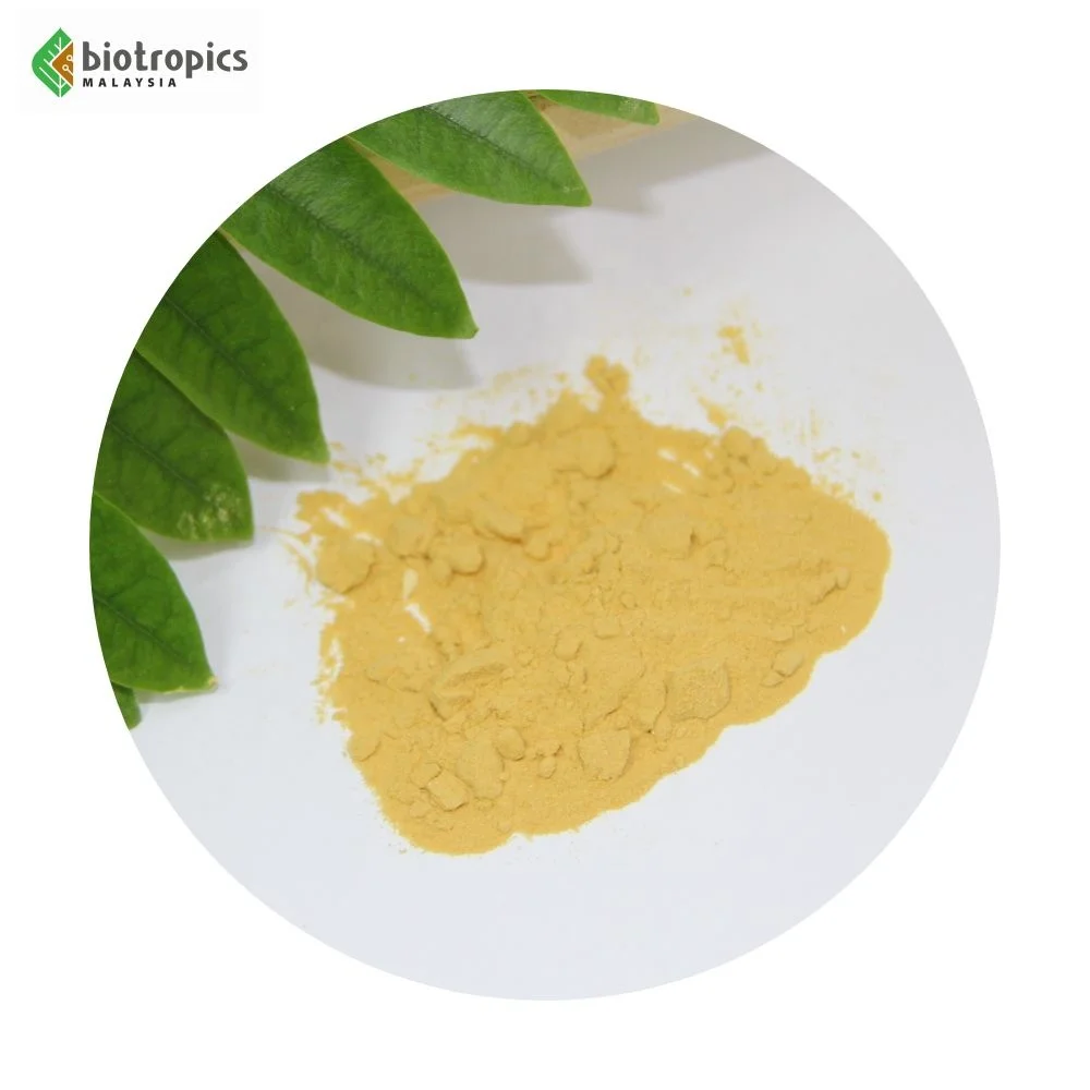 Science-Backed New Bulk Extract Tongkat Ali (Malaysian Ginseng) Root Powder Supplement Wild-Cultivated for Health & Wellness