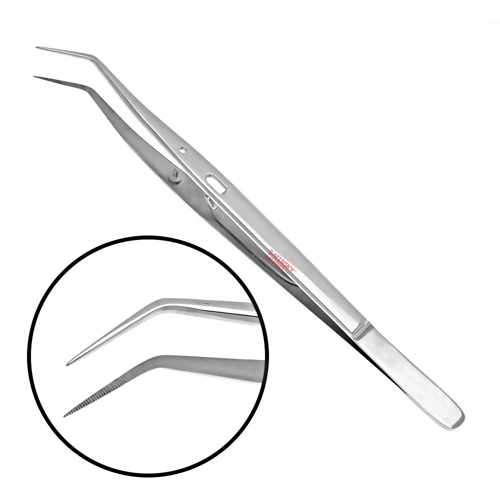 Factory Wholesale 100% Rust Free  Stainless Steel Dental Tweezers Forceps Angled Perry Dressing Pliers 5 Surgical Forceps