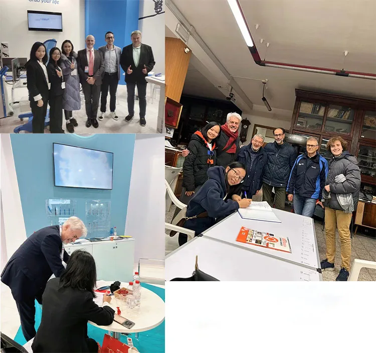 Natural Chicory Root Extract Inulin Food 90% Organic Inulin Powder