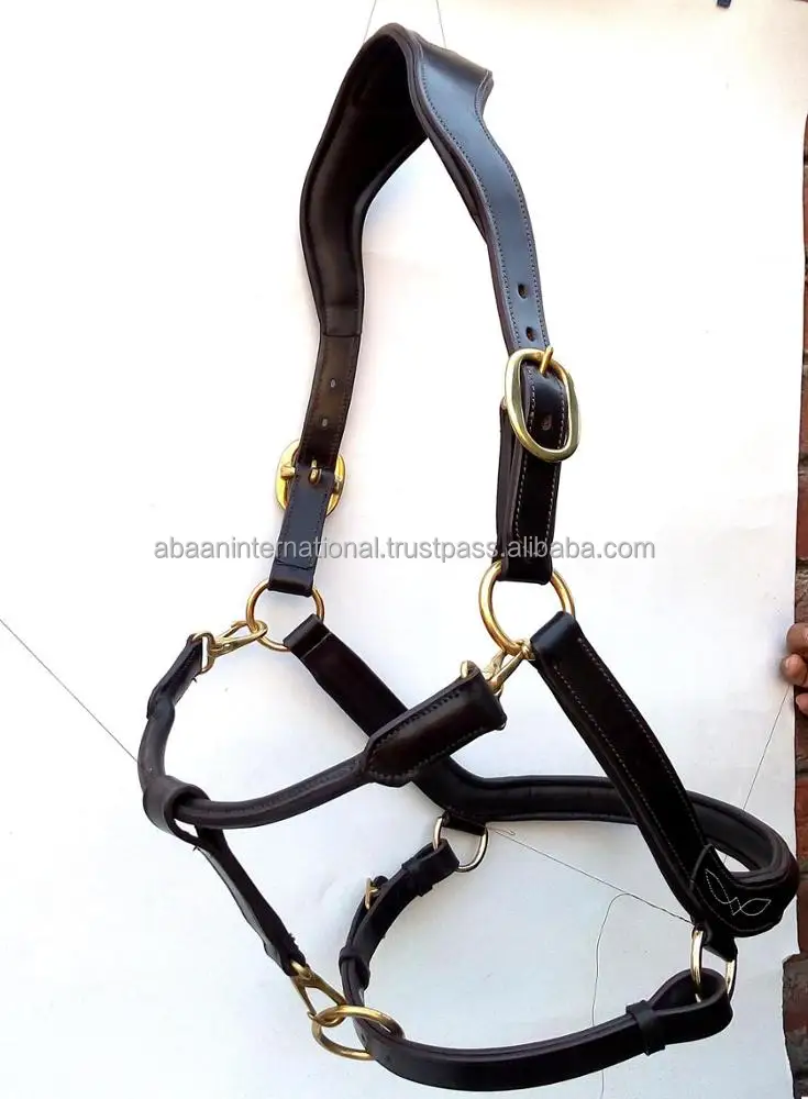 Horse racing pattern equestrian accessories adjustable horse leather halters head collars at cheapest rate in bulk in India