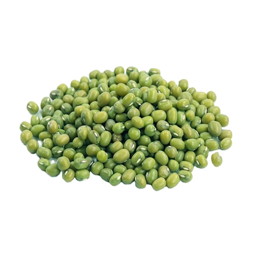 High quality wholesale dried green bean bulk natural food grade premium new crop Mung Beans high quality Mung Beans for sale