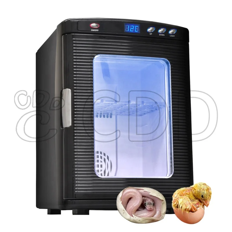 Reptile Hatching Machine Scientific Lab Incubator 25L Automatic Digital Reptile Egg Incubator for Gecko Snake Turtle