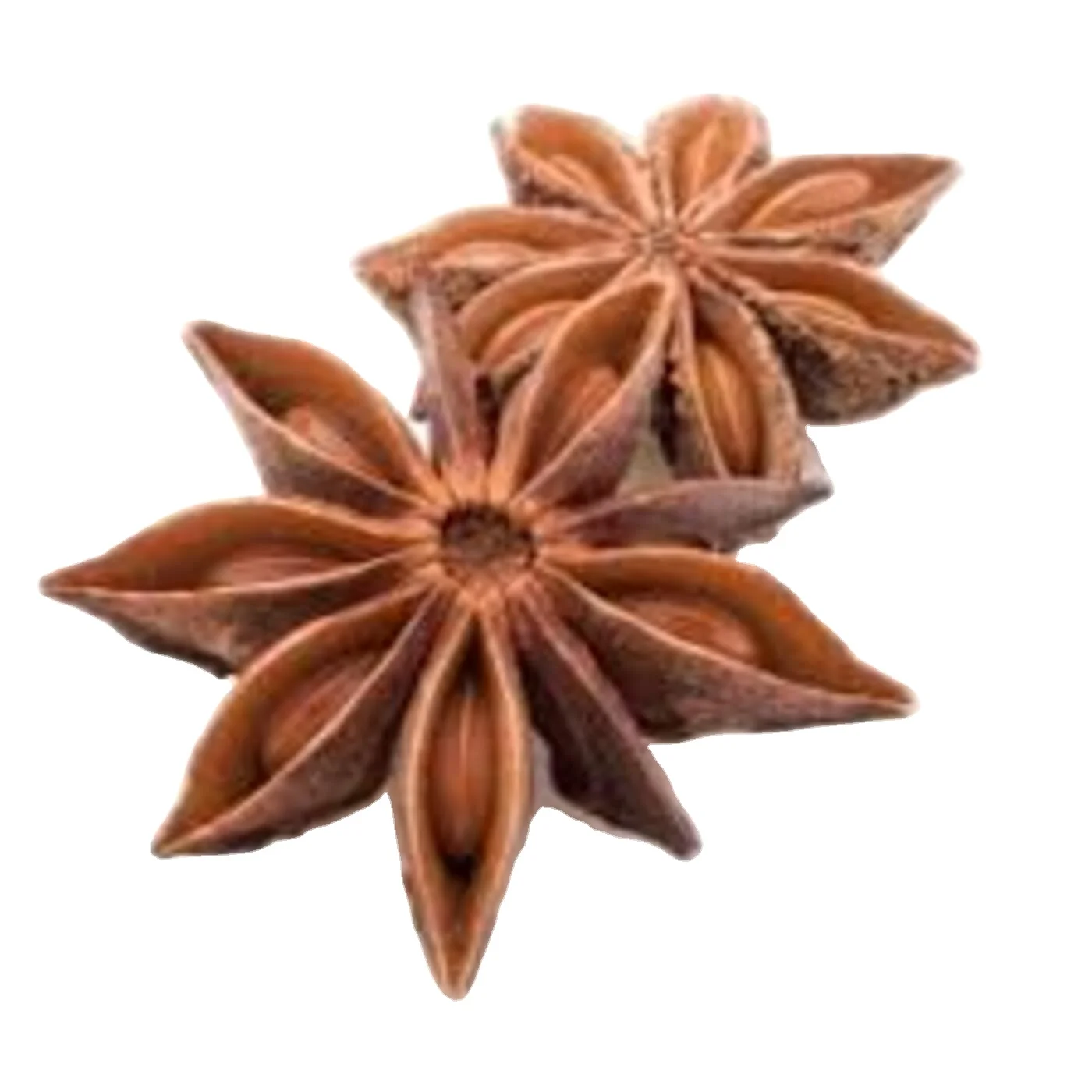Hot selling in Vietnam Supplier of pure star aniseed Vietnam Star with the best price