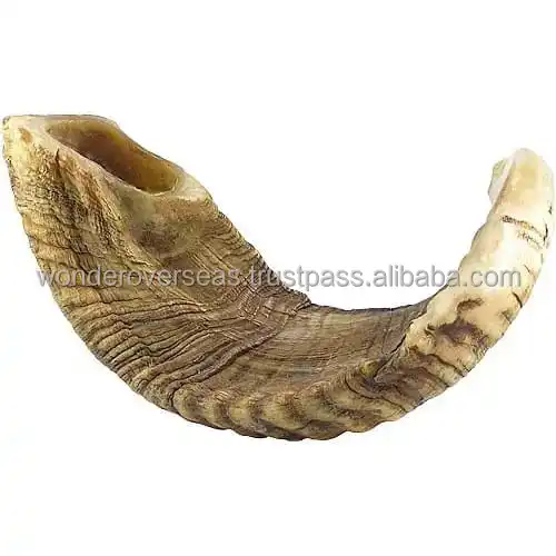 Natural Black Sheep Horn Polished Shofar for Customized Size Cheap Price With Handmade Use for Hot Sale Product BYWONDEROVERSEAS