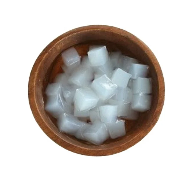 Nata De Coco in Liquid and Dried Form /  Coconut Jelly use for Drinking and Pudding from Vietnam Supplier