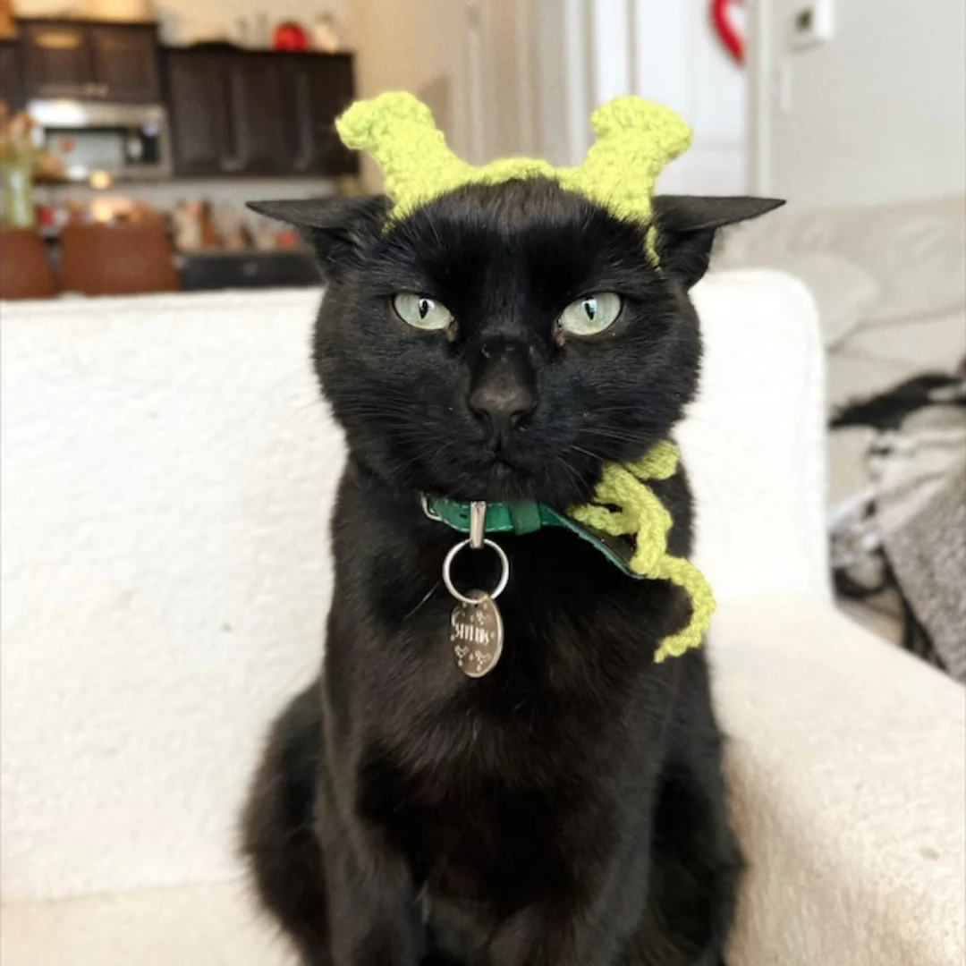 Pet Christmas Hat Cat Dog Cute Head Costume Dog Cartoon Hat  made in Viet Nam HOANG LINH SG Kimy +84938616690