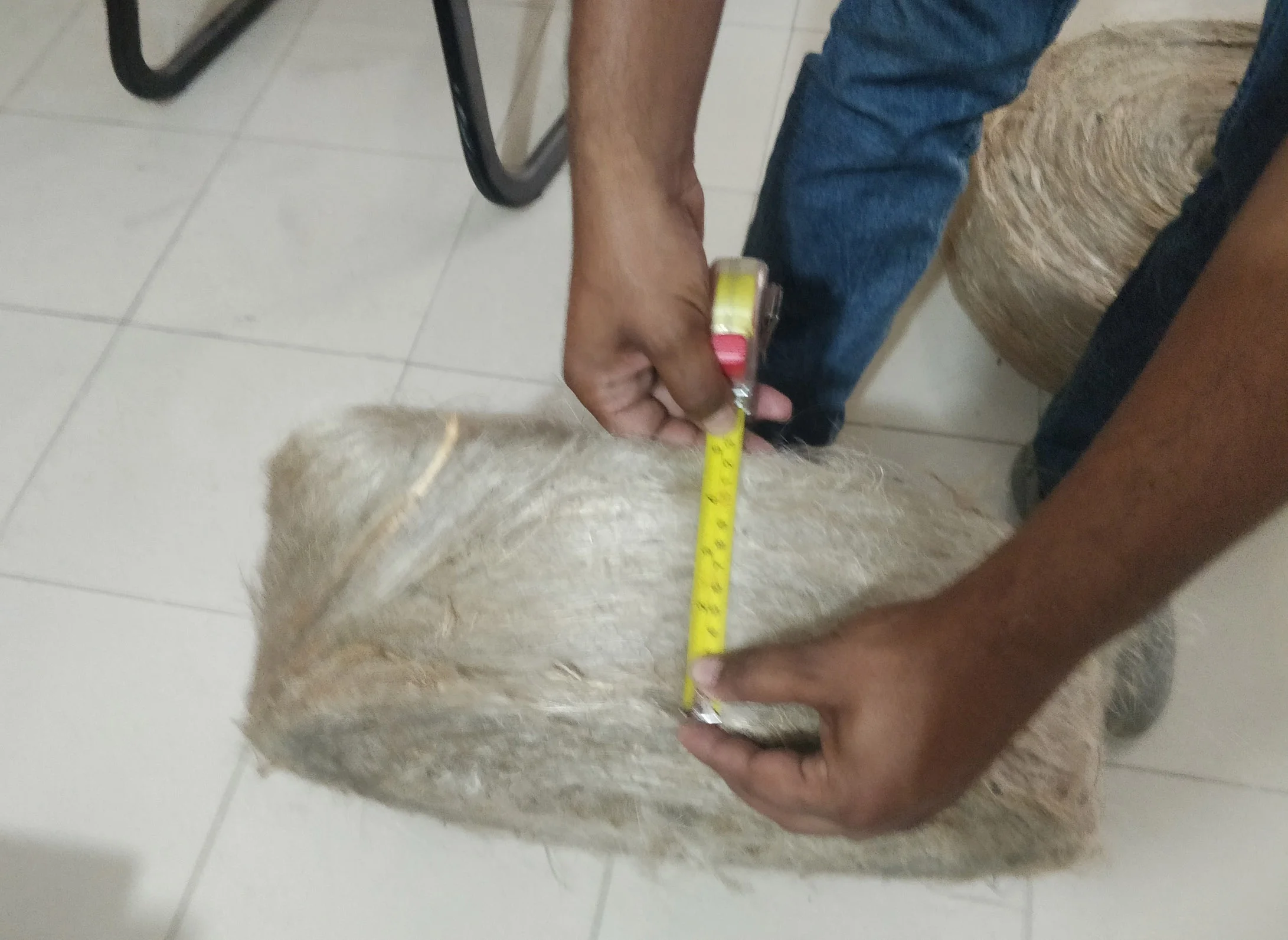 Джутовый Серебряный филасс, 100% натуральный экологически чистый биоразлагаемый, ориентированный на экспорт для гипсокартона из бангладеш