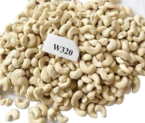 Wholesale high quality raw cashew nuts Viet Nam manufacturing for W240,W320,W450