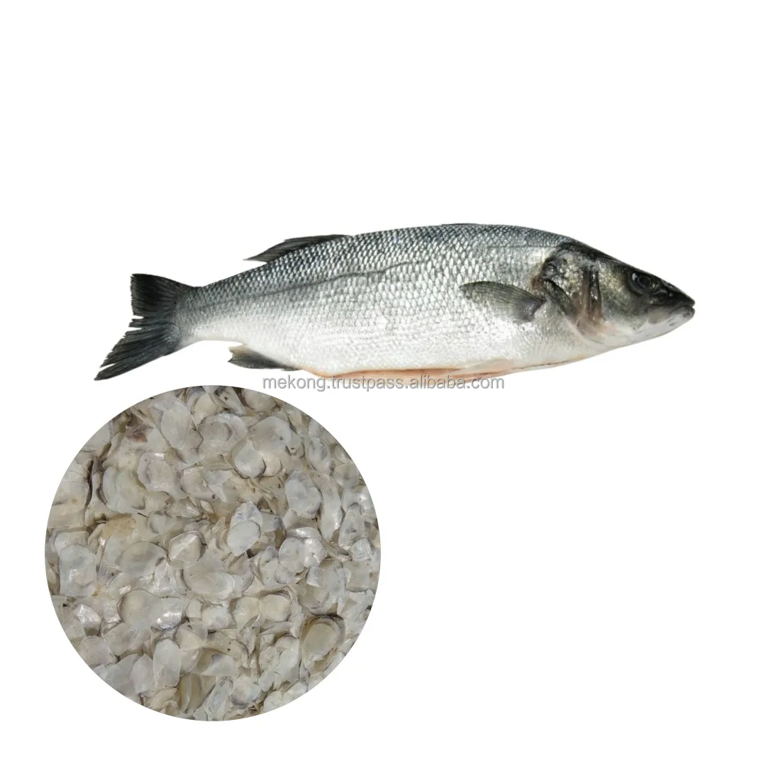 Горячая Распродажа, Размер 1 см вверх, сухая декалифицированная шкала, высокая пропорция коллагена, готовая к отправке