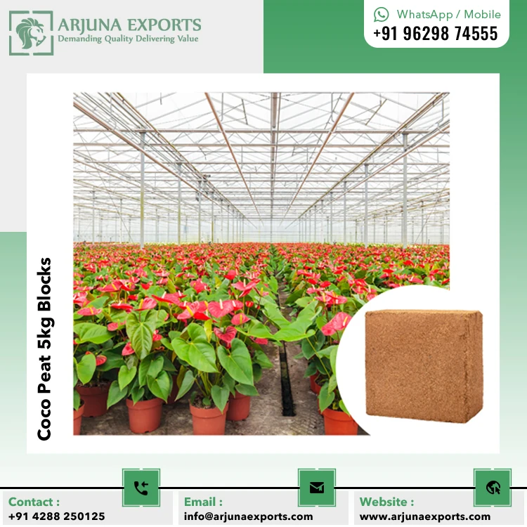 Potting Mix Growing Media of Premium Quality Coconut Coco Peat or Coir Pith 5kg Blocks for Wholesale distributors