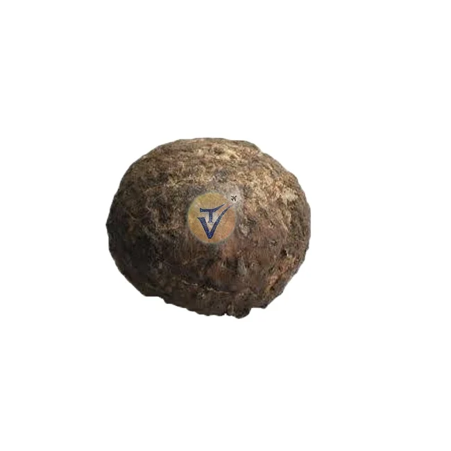 Super Rate Elephant Foot Yam Exporter - Fresh Yam from India - Top Grade Elephant foot yam