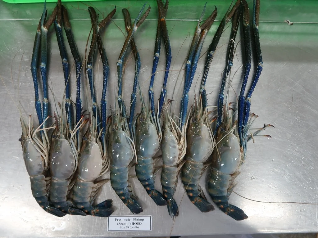 High quality Wholesale Raw HOSO Freshwater Shrimp Shell On made in Vietnam Fresh Seafood ready to ship