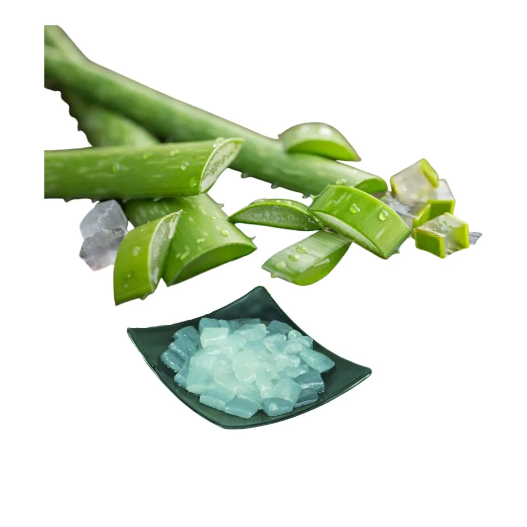 Trusted Factory Pure Natural Aloe Vera Leaf For Sale With Competitive Price Customized Packing