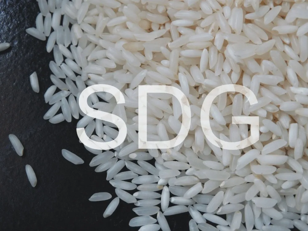 Sona Masoori Rice Medium-grain Rice White Wholesale Raw Non Basmati Rice Common Fresh Hard and quality