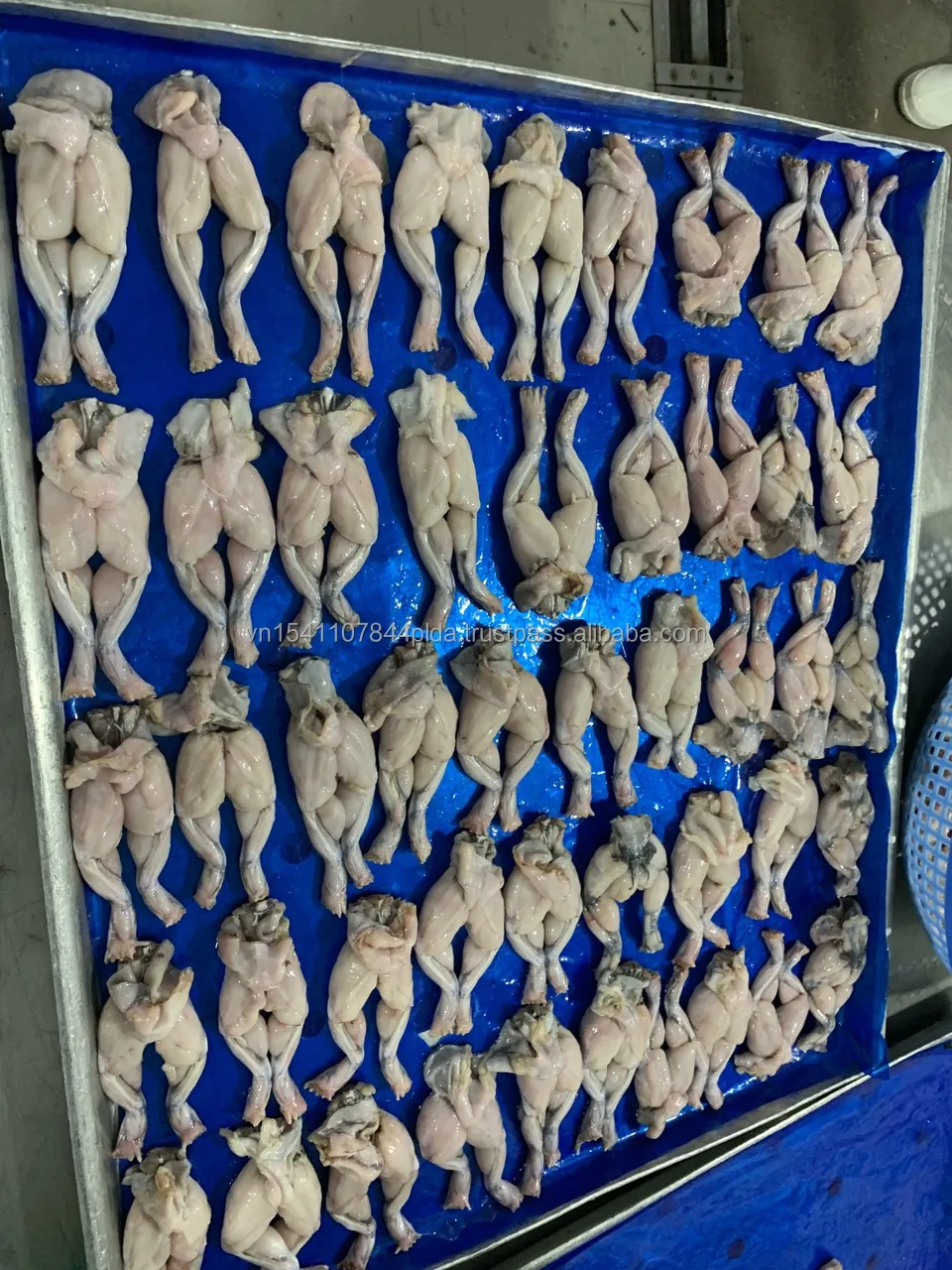 Замороженная еда для ног лягушки, хороший поставщик, оптовая продажа