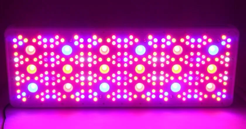 900W Led Grow Light Aluminum For Vertical Farm Veg Bloom COB Full Spectrum Grow Light