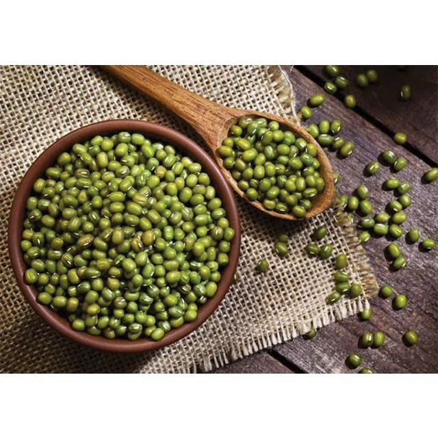 Wholesale Price Green Beans Bigger Size Cheap Top Quality Dried Green Mung Beans Made In Vietnam Best Price