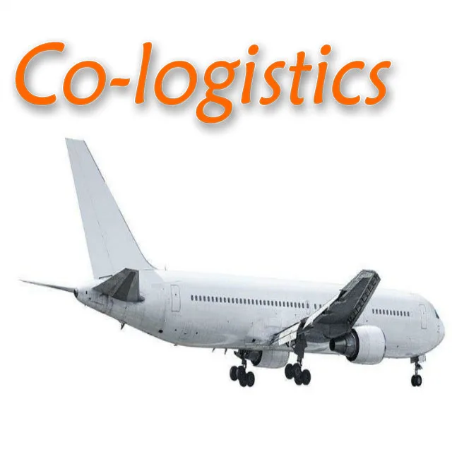 DDPby air India from China shenzhen/shanghai air forwarder freight to the world fast and safety transportation