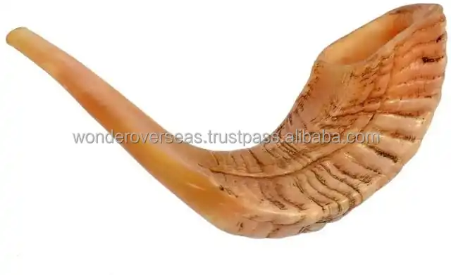 Natural Black Sheep Horn Polished Shofar for Customized Size Cheap Price With Handmade Use for Hot Sale Product BYWONDEROVERSEAS