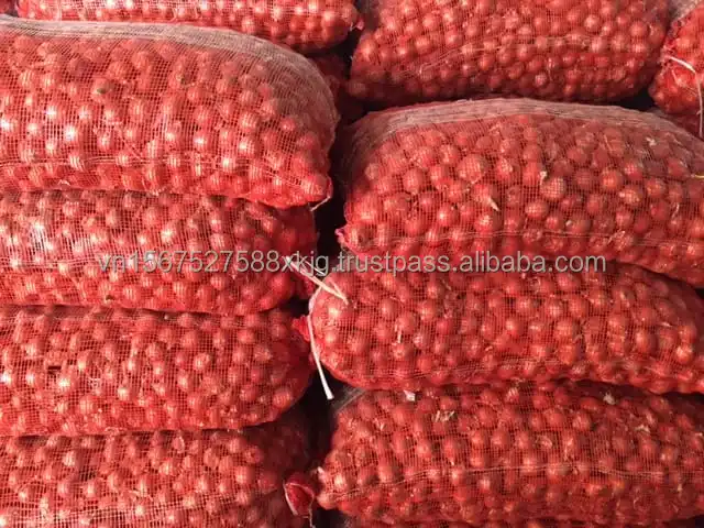 Vietnamese Export Quality Red Fresh Onions High-Grade Product in round Pattern Peeled Onions