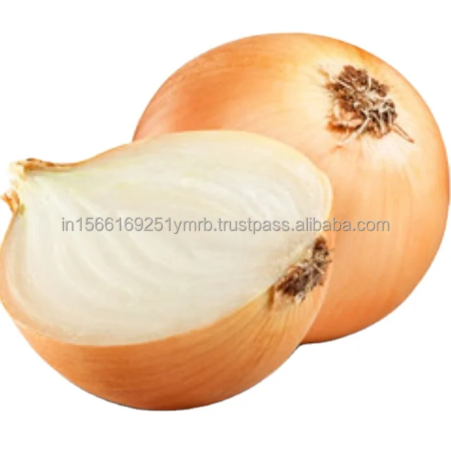 Quality Fresh Red Onion/Fresh Yellow onion For Export At Cheap Price