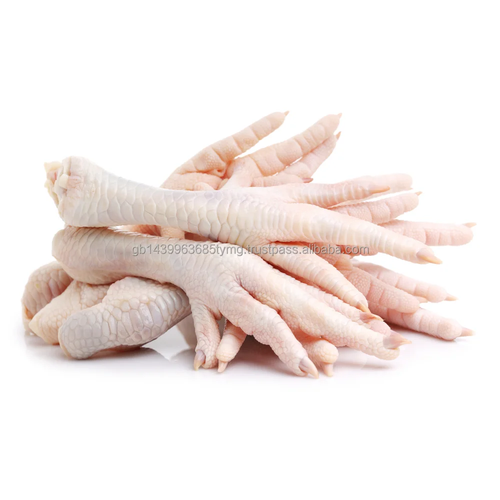 Frozen Chicken Fresh Whole/ Feet/ Legs Quarters frozen chicken breast for sale Wholesale Prices