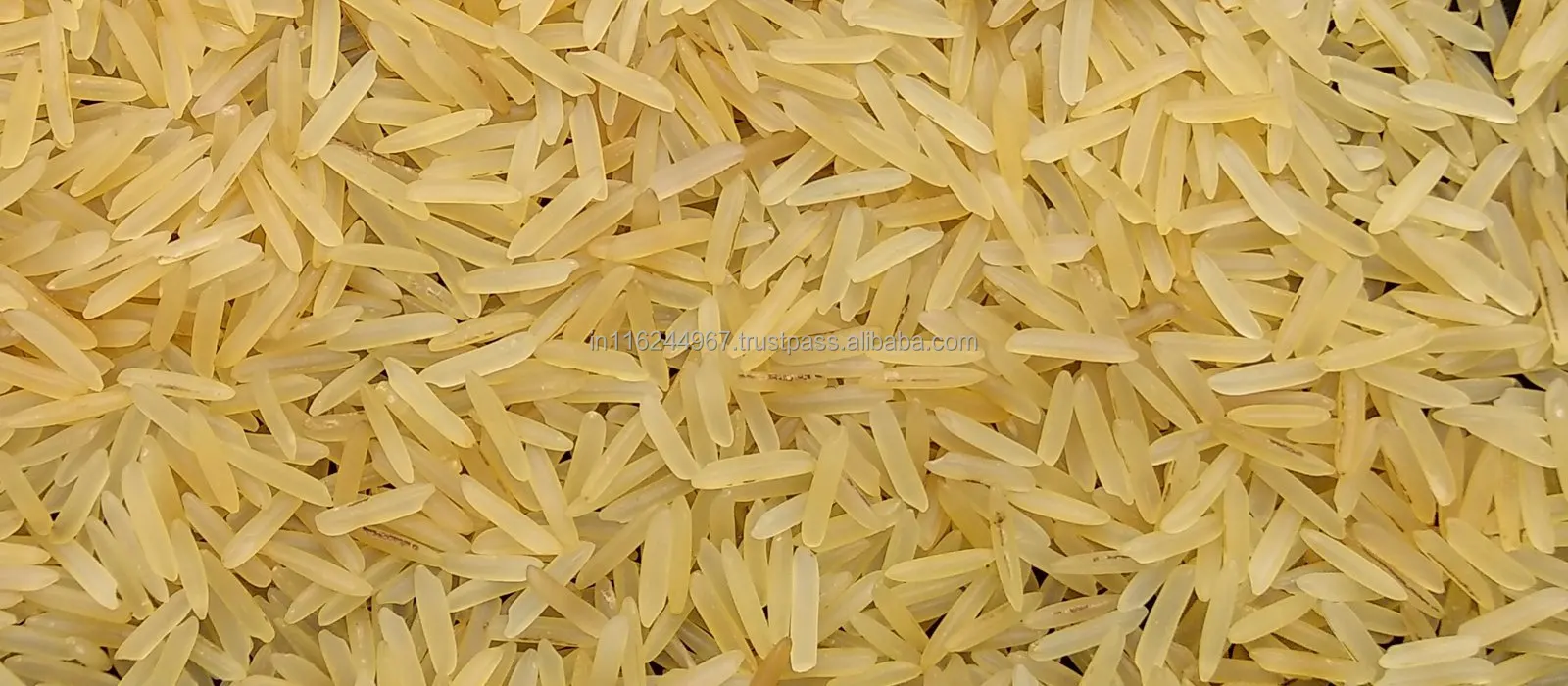 Best Supply Cooking Ingredients Traditional Basmati Sella Rice for Pulao an Biryani Making Available at Export Supply
